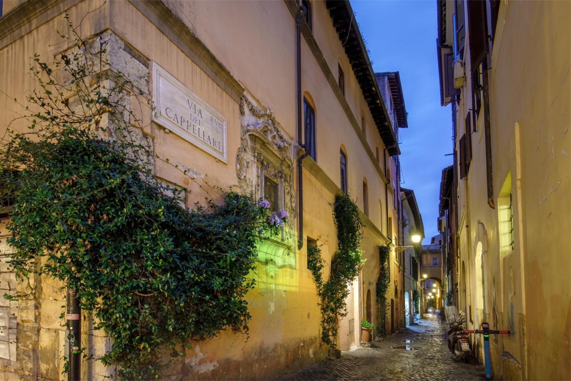 Apartment Daplace - Camelia Rom